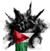 Solidarité Palestine